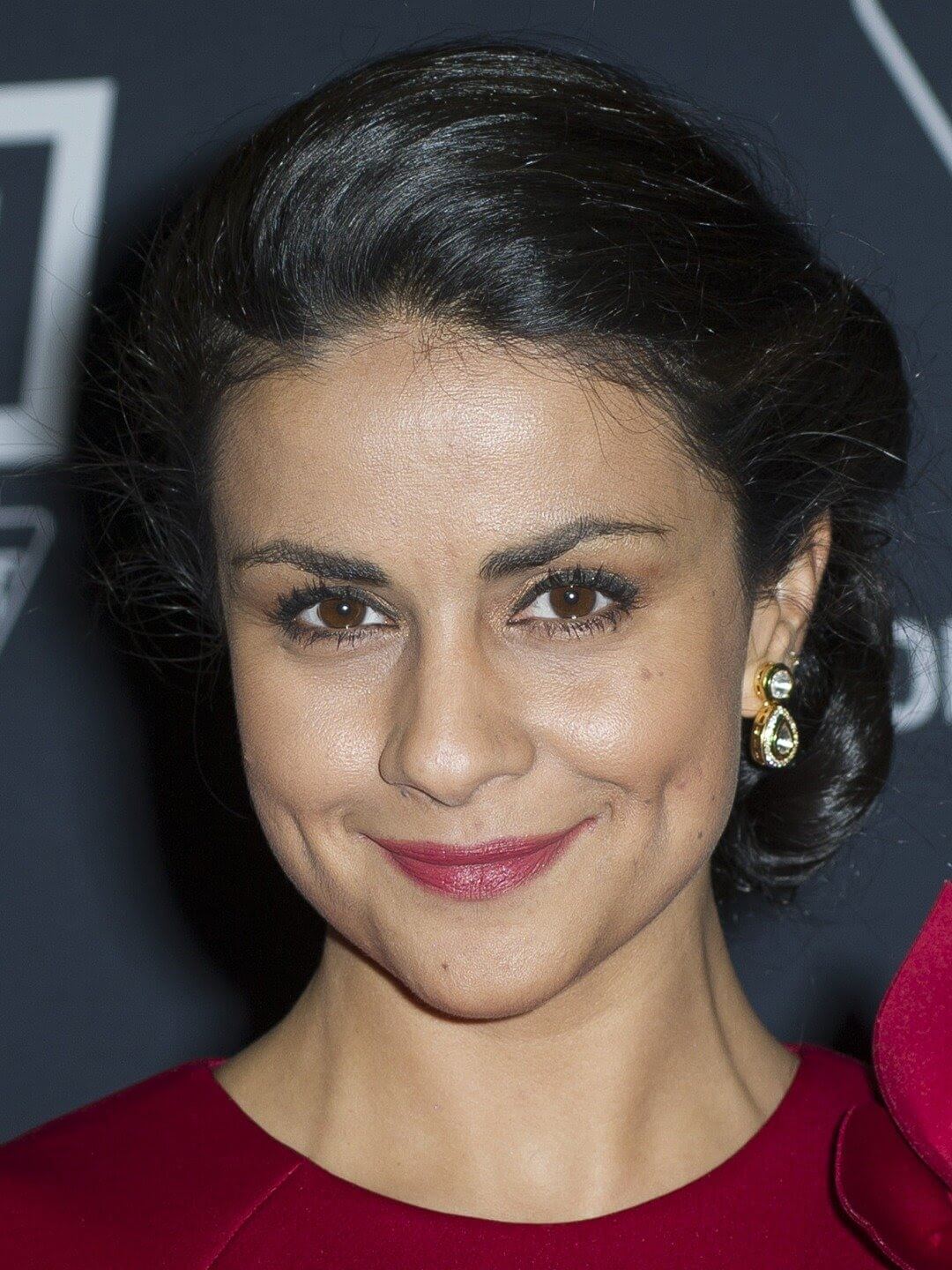 gul panag